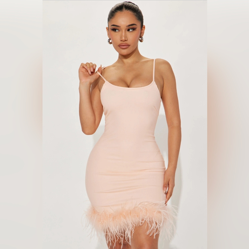 Soft Pink Feathered Dress
